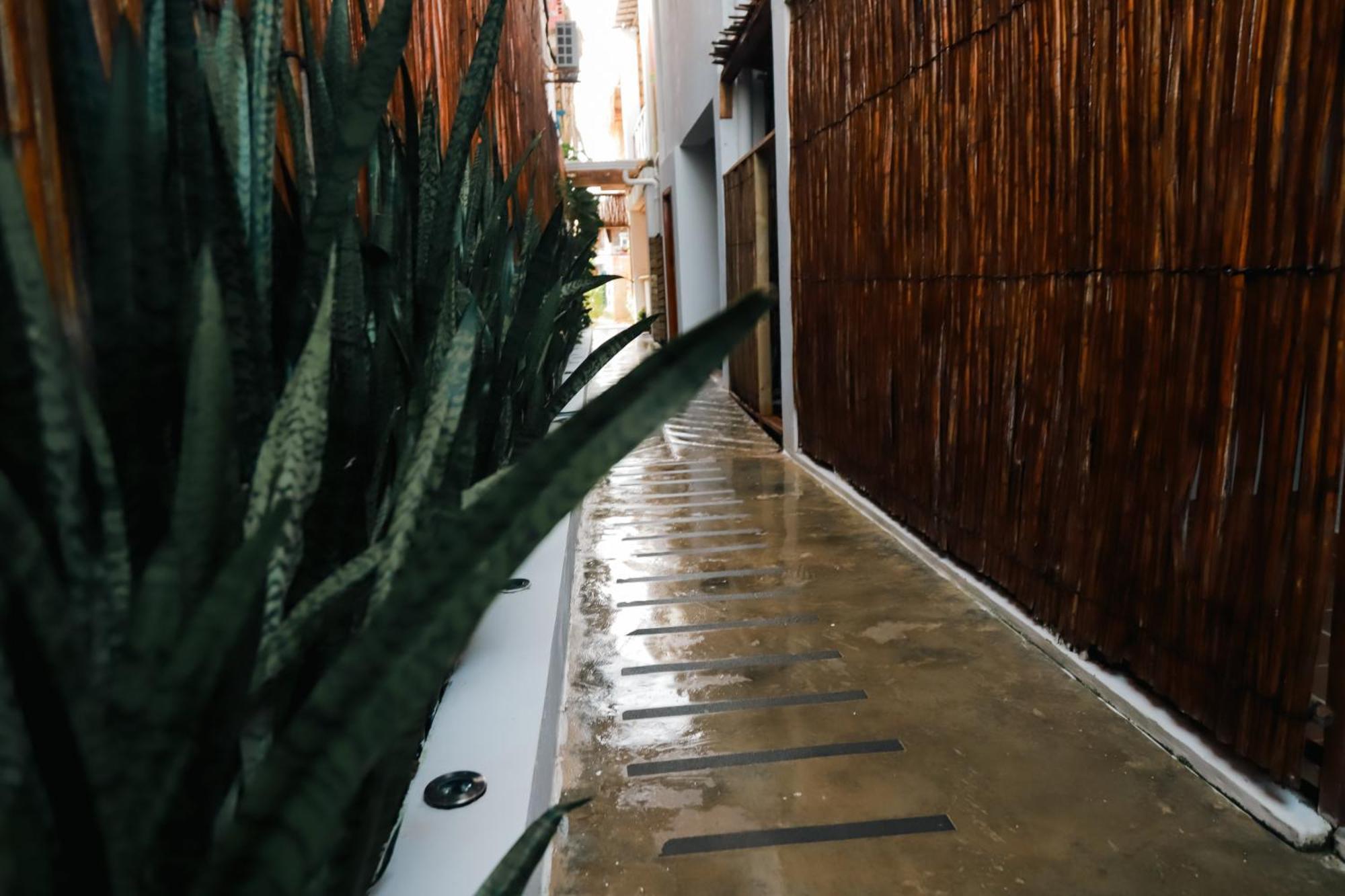 Hostal Casa En La Cienaga Rincon Del Mar Exteriér fotografie